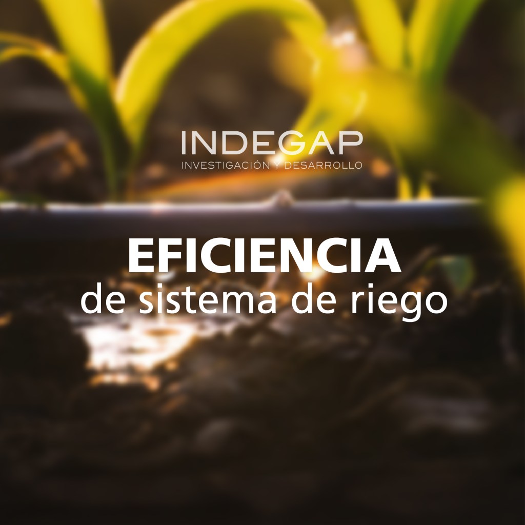 Texto superpuesto que dice 'EFICIENCIA de sistema de riego' con fondo desenfocado de plantas y un sistema de riego en la parte inferior.