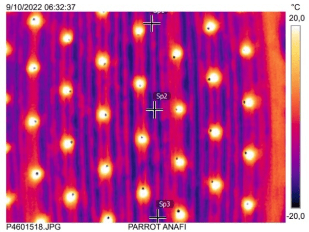 Imagen térmica de un campo agrícola mostrando variaciones de temperatura, con puntos destacados que indican áreas de interés para análisis agronómicos.