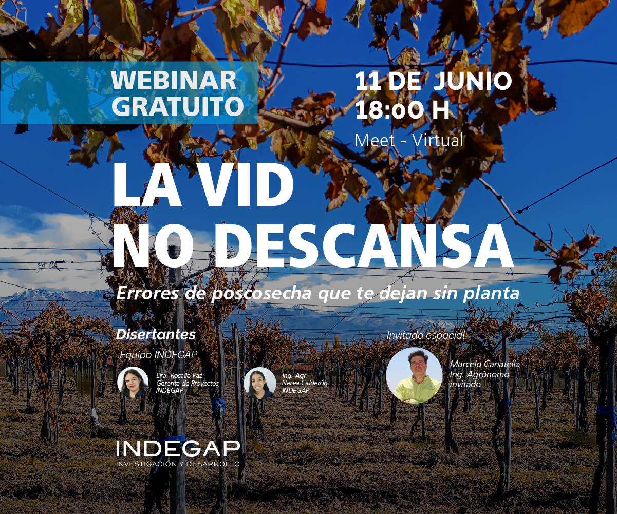 🍇 La vid no descansa: errores de poscosecha que te dejan sin planta