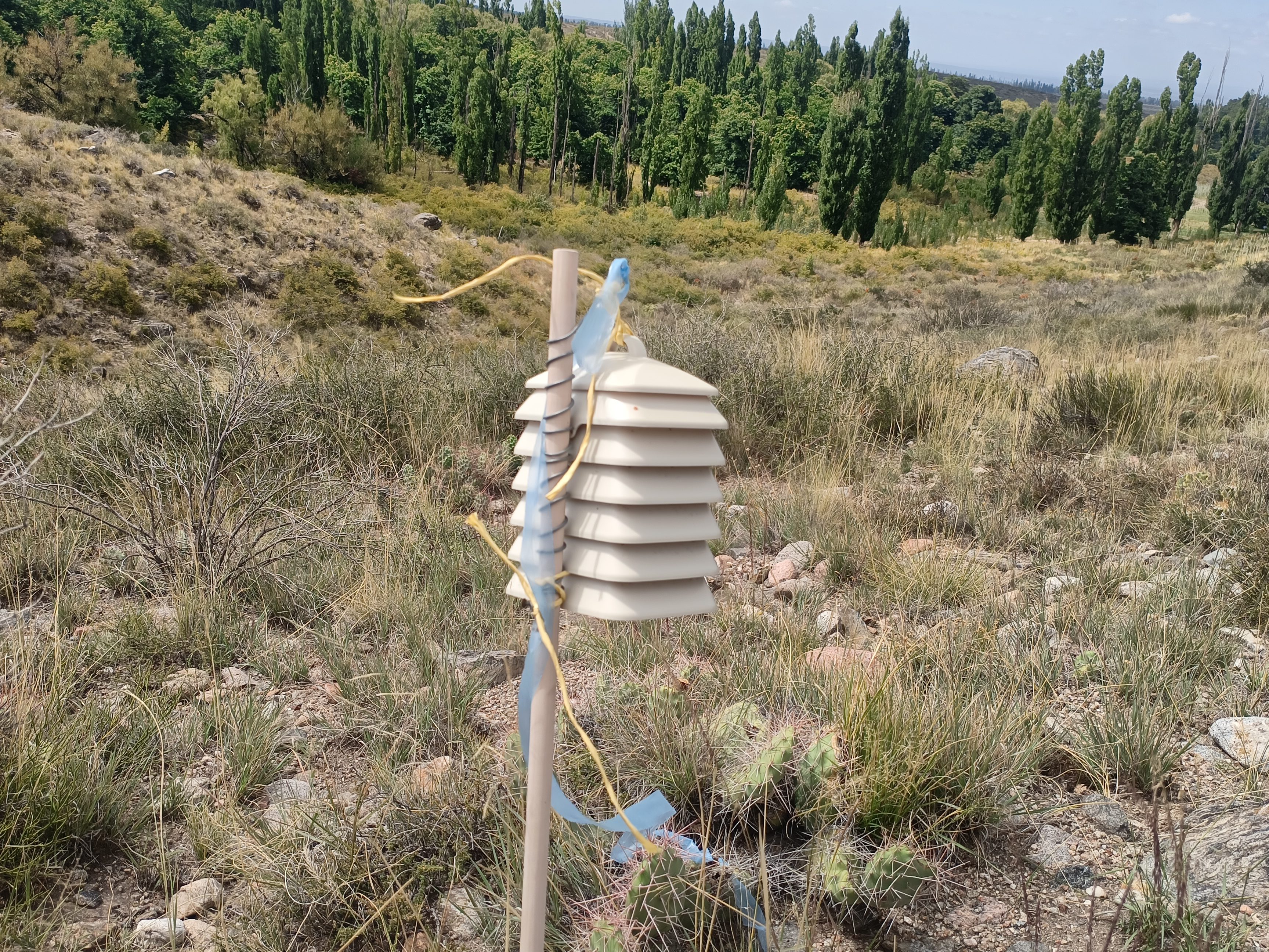Sensor térmico instalado en un campo, con fondo de árboles y cielo despejado.