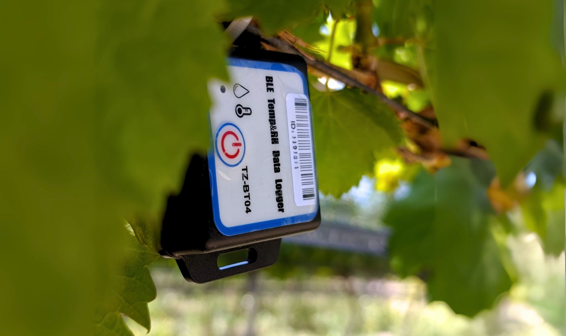 Lo que nadie te cuenta antes de comprar un sensor para el agro